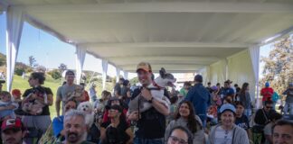 Municipio de El Marqués realizará 10 mil esterilizaciones gratuitas para perros y gatos