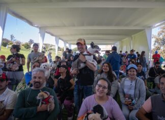 Municipio de El Marqués realizará 10 mil esterilizaciones gratuitas para perros y gatos