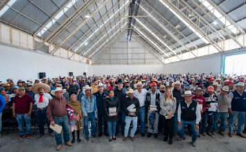 Entregan 479 toneladas de maíz a mil 310 productores en El Marqués