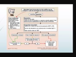 Definen autoridades protocolo de actuación para escuelas por casos de sarampión