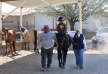 El Sistema Estatal para el Desarrollo Integral de la Familia inicia con las sesiones de equinoterapia 2026