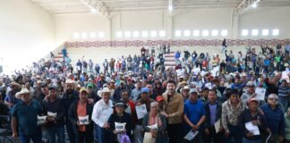 El Secretario de Desarrollo Agropecuario registra un avance del 50 por ciento en entrega de maíz