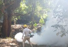 La Secretaría de Salud refuerza acciones de vigilancia epidemiológica contra el dengue