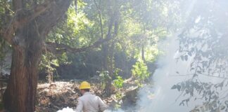 La Secretaría de Salud refuerza acciones de vigilancia epidemiológica contra el dengue