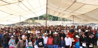 El Secretario de Desarrollo Agropecuario realiza entrega de maíz a productores amealcenses