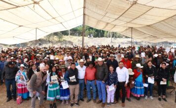 El Secretario de Desarrollo Agropecuario realiza entrega de maíz a productores amealcenses