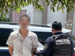 Detenido por daños dolosos en Puerta Navarra