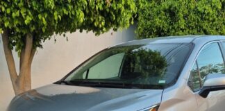 Secretaría de Seguridad Pública Municipal de Querétaro recuperó 20 vehículos con reporte de robo