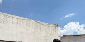 El Marqués invierte más de 74 millones de pesos en urbanización y espacios para adultos mayores