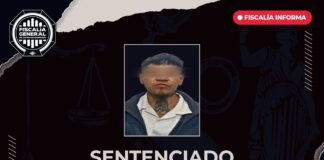 Marco Antonio “N” sentenciado por delitos contra los animales en Querétaro