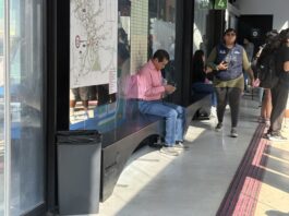 La Agencia de Movilidad del Estado fortalece infraestructura con nuevo mobiliario en Paseo 5 de Febrero