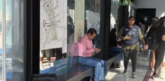 La Agencia de Movilidad del Estado fortalece infraestructura con nuevo mobiliario en Paseo 5 de Febrero