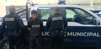 “Gato” es detenido por policías del municipio de Querétaro