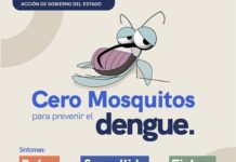 La Secretaría de Salud monitorea la situación epidemiológica del dengue en la entidad