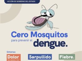 La Secretaría de Salud monitorea la situación epidemiológica del dengue en la entidad