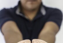Transforma UAQ la práctica docente mediante las neurociencias