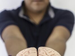 Transforma UAQ la práctica docente mediante las neurociencias
