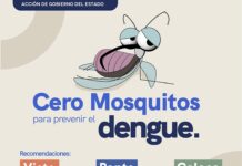La Secretaría de Salud mantiene monitoreo permanente del dengue en el estado