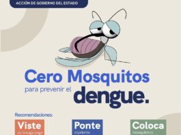 La Secretaría de Salud mantiene monitoreo permanente del dengue en el estado