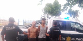 Dos masculinos detenidos por daños y resistencia de particulares