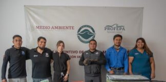 El Instituto Municipal de Protección Animal asegura especies exóticas y endémicas de Querétaro
