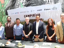 Querétaro presenta el laberinto de maíz más grande del Bajío: Campirino 2026 abre sus puertas en Cañadas del Valle.
