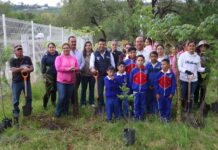 Supera Huimilpan los 32 mil árboles en acciones de reforestación y cuidado ambiental