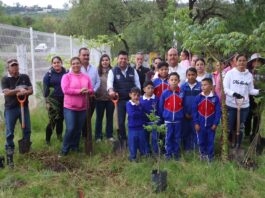Supera Huimilpan los 32 mil árboles en acciones de reforestación y cuidado ambiental