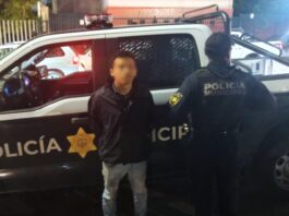 Detenido en Lomas de San Pedrito Peñuelas por delitos contra la seguridad