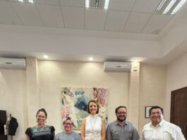 Querétaro será sede del Encuentro de la Red de Centros de las Artes