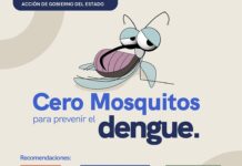 La Secretaría de Salud continúa con vigilancia epidemiológica permanente del dengue