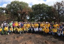 La Secretaría de Desarrollo Agropecuario inicia reforestación con más de 800 mil árboles