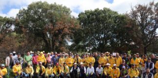 La Secretaría de Desarrollo Agropecuario inicia reforestación con más de 800 mil árboles