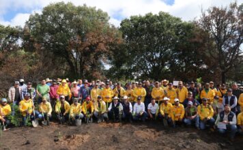 La Secretaría de Desarrollo Agropecuario inicia reforestación con más de 800 mil árboles