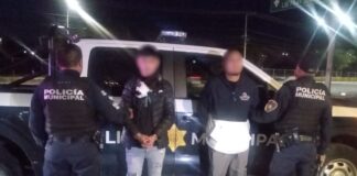 Detenidos por posesión ilegal de un animal en peligro de extinción