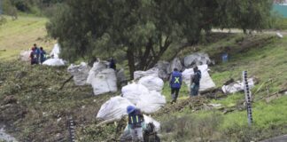 Participa UAQ en la rehabilitación ambiental del bordo Benito Juárez, en el Querétaro 2000