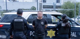 Masculino detenido por venta y/o posesión ilegal de animales exóticos