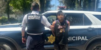 Detenido «El Poninas» por robo equiparado de vehículo en la comunidad de Pinto