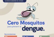 La Secretaría de Salud Mantiene vigilancia epidemiológica y acciones de prevención del dengue