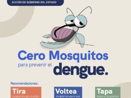 La Secretaría de Salud Mantiene vigilancia epidemiológica y acciones de prevención del dengue
