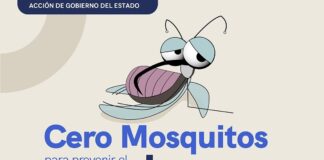 La Secretaría de Salud Mantiene vigilancia epidemiológica y acciones de prevención del dengue