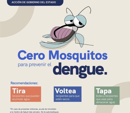 La Secretaría de Salud Mantiene vigilancia epidemiológica y acciones de prevención del dengue