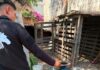 El Instituto Municipal de Protección Animal atiende reporte por posible maltrato animal en la comunidad de La Providencia