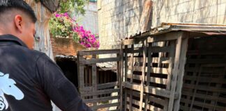 El Instituto Municipal de Protección Animal atiende reporte por posible maltrato animal en la comunidad de La Providencia
