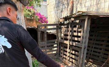 El Instituto Municipal de Protección Animal atiende reporte por posible maltrato animal en la comunidad de La Providencia
