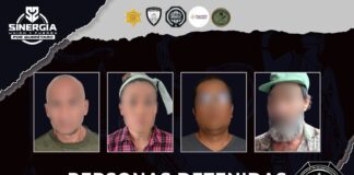 Sinergia por Querétaro realiza seis cateos; cuatro personas detenidas y más de mil dosis de narcótico aseguradas