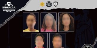 Sinergia ejecuta cinco cateos; cinco personas fueron detenidas