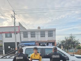 Detenido por robo a vehículo en Geoplazas