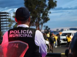 Municipio de Querétaro sostiene disminución del 3% en incidencia delictiva de enero a agosto: Secretariado Ejecutivo del Sistema Nacional de Seguridad Pública