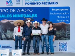 Rodrigo Monsalvo incrementa más de 13% inversión para fortalecer el campo marquesino